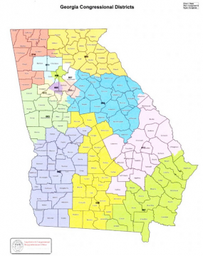 Georgia District Map