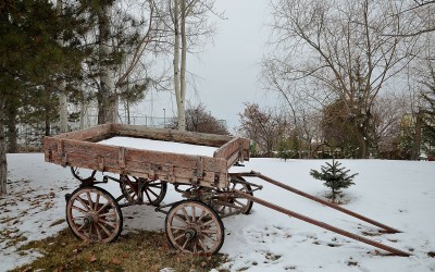 Hitched your wagon to fallen candidate? Your enthusiasm not so great?